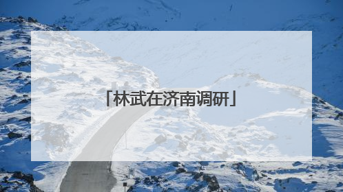 林武在济南调研