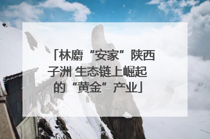 林麝“安家”陕西子洲 生态链上崛起的“黄金”产业