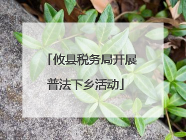 攸县税务局开展普法下乡活动