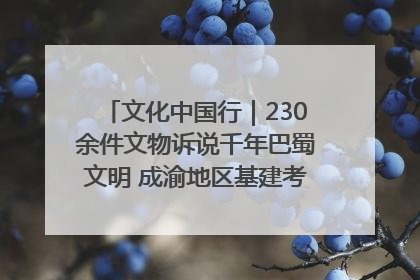 文化中国行｜230余件文物诉说千年巴蜀文明 成渝地区基建考古成果展开展