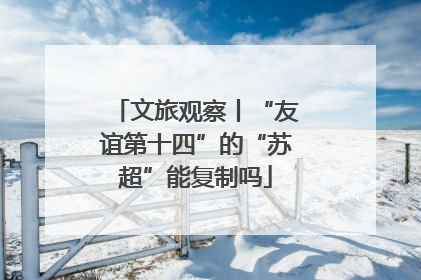 文旅观察丨“友谊第十四”的“苏超”能复制吗