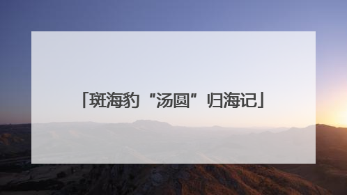斑海豹“汤圆”归海记