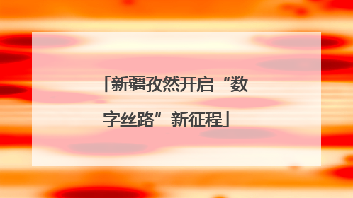 新疆孜然开启“数字丝路”新征程
