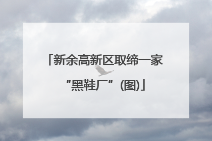 新余高新区取缔一家“黑鞋厂”(图)