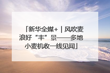 新华全媒+｜风吹麦浪好“丰”景——多地小麦机收一线见闻