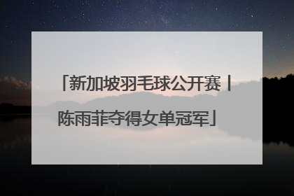 新加坡羽毛球公开赛丨陈雨菲夺得女单冠军