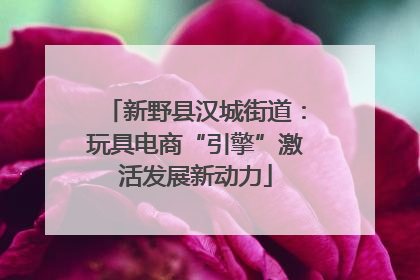 新野县汉城街道：玩具电商“引擎”激活发展新动力