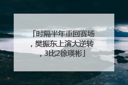 时隔半年重回赛场，樊振东上演大逆转，3比2徐瑛彬