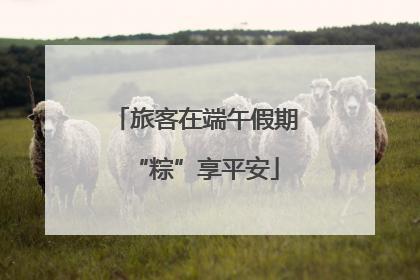 旅客在端午假期“粽”享平安