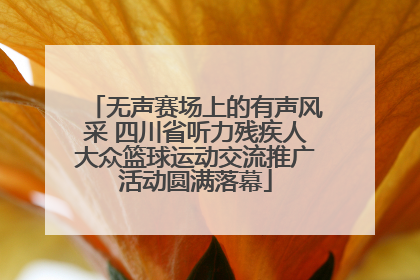 无声赛场上的有声风采 四川省听力残疾人大众篮球运动交流推广活动圆满落幕