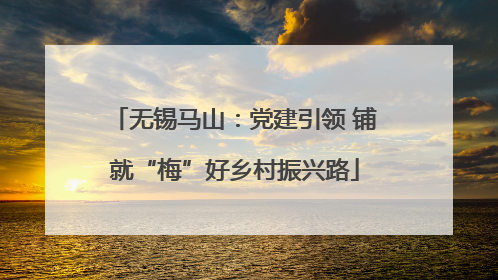 无锡马山：党建引领 铺就“梅”好乡村振兴路