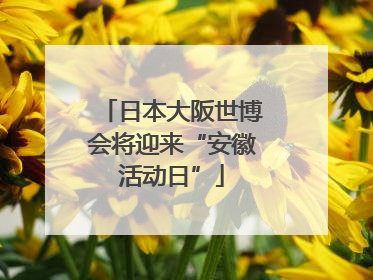 日本大阪世博会将迎来“安徽活动日”
