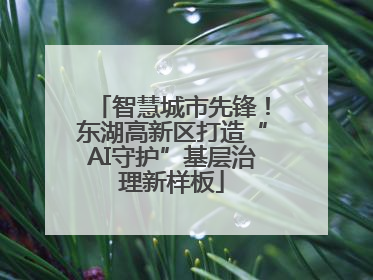 智慧城市先锋！东湖高新区打造“AI守护”基层治理新样板