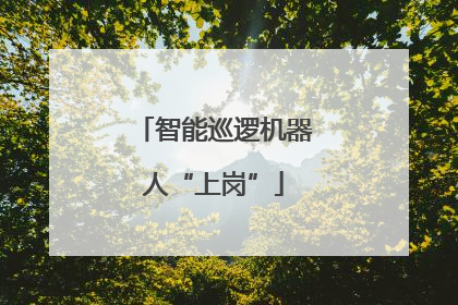 智能巡逻机器人“上岗”