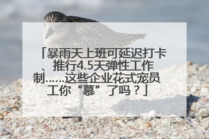 暴雨天上班可延迟打卡、推行4.5天弹性工作制……这些企业花式宠员工你“慕”了吗？