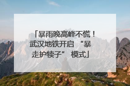 暴雨晚高峰不慌！武汉地铁开启 “暴走护犊子” 模式