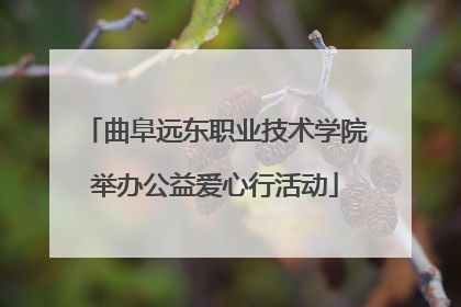 曲阜远东职业技术学院举办公益爱心行活动