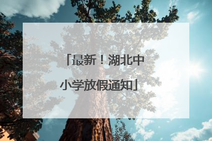 最新！湖北中小学放假通知
