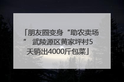 朋友圈变身“助农卖场” 武陵源区黄家坪村5天销出4000斤包菜