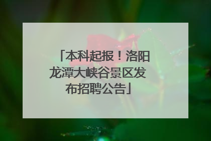 本科起报！洛阳龙潭大峡谷景区发布招聘公告