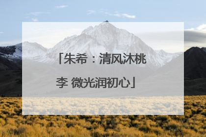 朱希：清风沐桃李 微光润初心