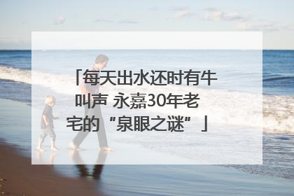 每天出水还时有牛叫声 永嘉30年老宅的“泉眼之谜”