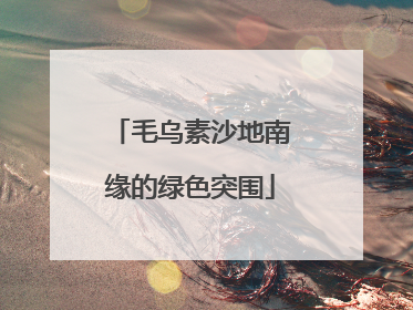 毛乌素沙地南缘的绿色突围