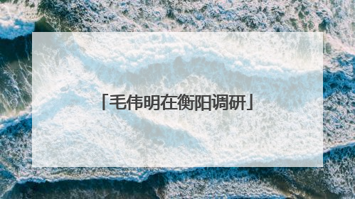毛伟明在衡阳调研