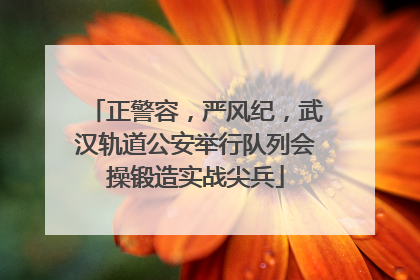 正警容，严风纪，武汉轨道公安举行队列会操锻造实战尖兵