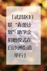 武昌区妇联“春蕾计划”助学金捐赠仪式在白沙洲街道举行