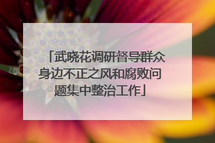武晓花调研督导群众身边不正之风和腐败问题集中整治工作
