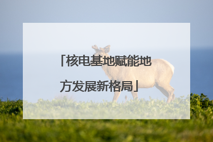 核电基地赋能地方发展新格局