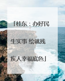 桂东：办好民生实事 绘就残疾人幸福底色