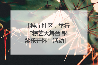 桂庄社区：举行“粽艺大舞台 银龄乐开怀”活动