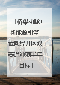 桥梁动脉+新能源引擎 武陟经开区双赛道冲刺半年目标