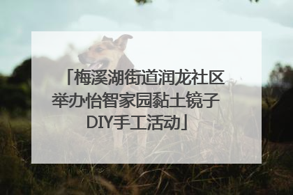梅溪湖街道润龙社区举办怡智家园黏土镜子DIY手工活动