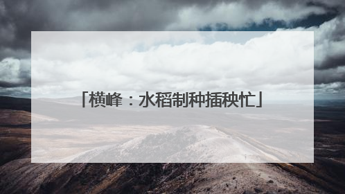 横峰：水稻制种插秧忙