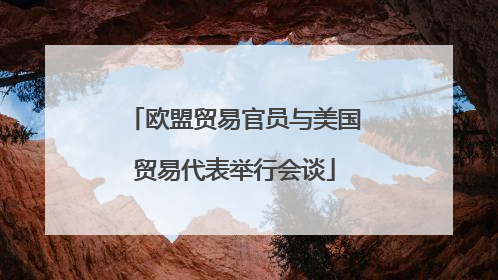 欧盟贸易官员与美国贸易代表举行会谈