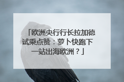 欧洲央行行长拉加德试乘点赞：萝卜快跑下一站出海欧洲？
