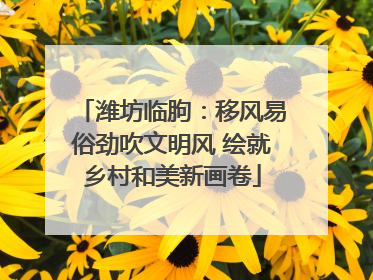潍坊临朐：移风易俗劲吹文明风 绘就乡村和美新画卷