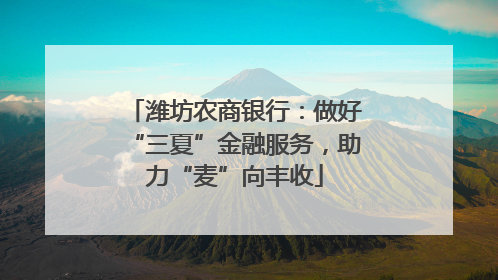 潍坊农商银行：做好“三夏”金融服务，助力“麦”向丰收