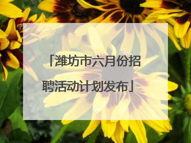 潍坊市六月份招聘活动计划发布