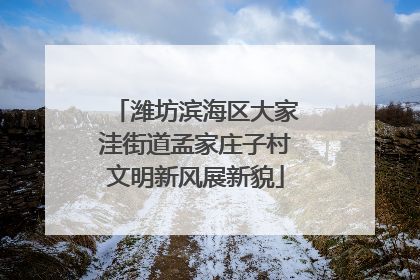 潍坊滨海区大家洼街道孟家庄子村文明新风展新貌
