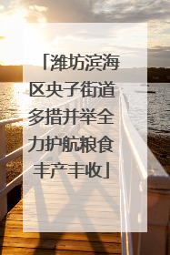 潍坊滨海区央子街道多措并举全力护航粮食丰产丰收