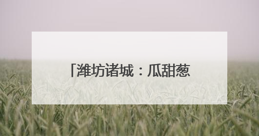 潍坊诸城：瓜甜葱郁处 产业好风光