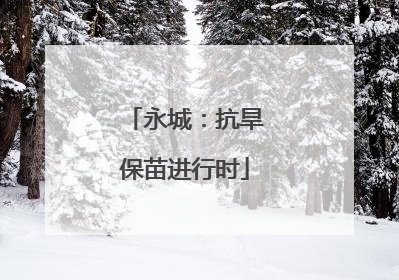 永城：抗旱保苗进行时