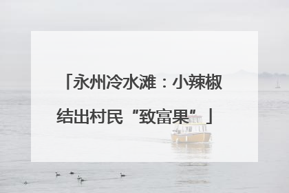 永州冷水滩：小辣椒结出村民“致富果”