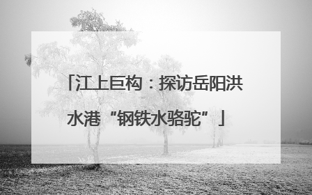 江上巨构：探访岳阳洪水港“钢铁水骆驼”