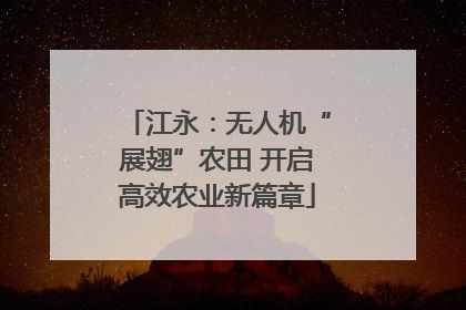 江永：无人机“展翅”农田 开启高效农业新篇章