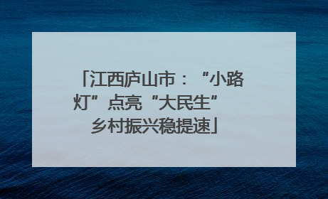江西庐山市：“小路灯”点亮“大民生” 乡村振兴稳提速